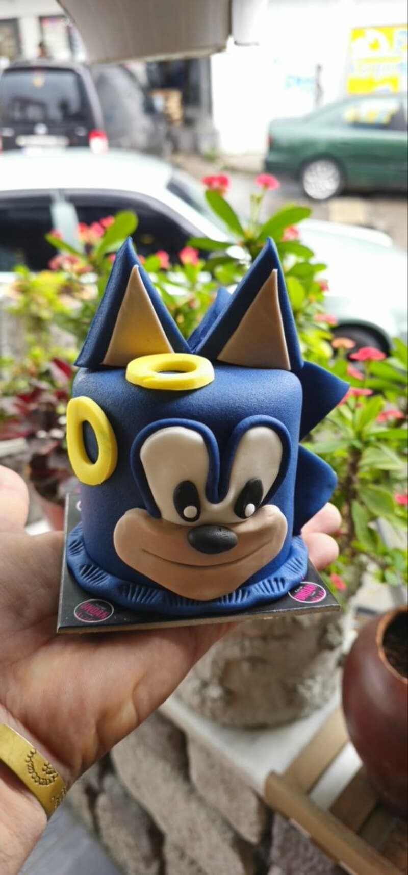 Şeker hamurundan elde şekillendirilmiş Sonic figürlü çocuk doğum günü pastası. İzmit